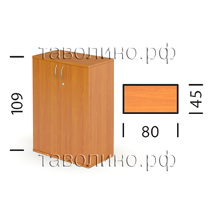 Эрго Ш42з | Шкаф закрытый 80х45х109