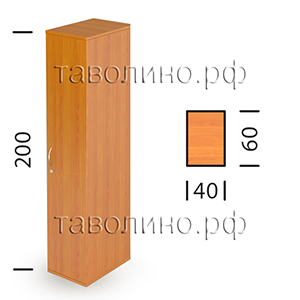 Эрго Ш62/1-04 Rз/Lз | Шкаф закрытый узкий 40х60х200
